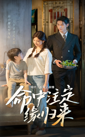 命中注定缘归来(63集) 命中注定缘归来(63集)最火短剧推荐