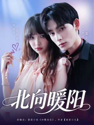 北向暖阳（80集）短剧热播中