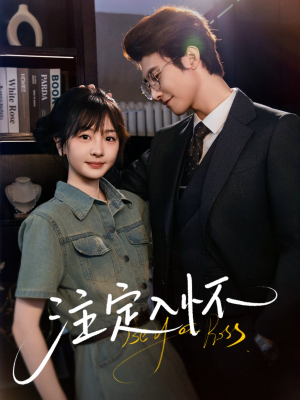注定入怀（70集）超火热门短剧