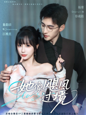 她像飓风过境(81集) 她像飓风过境(81集)免费短剧完整版