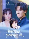 领结婚证附赠萌娃一枚（53集）网盘在线观看