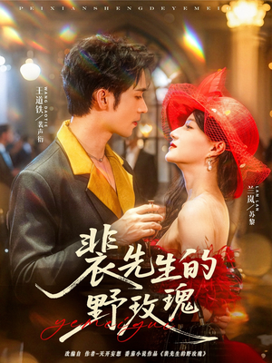 裴先生的野玫瑰（72集）在线观看