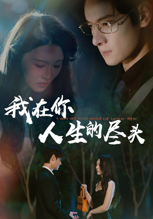 我在你人生的尽头(60集) 我在你人生的尽头(60集)全剧免费观看