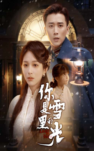 你是雪里的光(64集) 你是雪里的光(64集)热门短剧分享