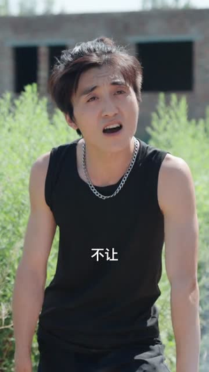 逍遥小村医 (84集) 逍遥小村医 (84集)大结局