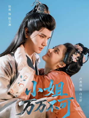 小姐万万不可(74集) 小姐万万不可(74集)大结局完美收官