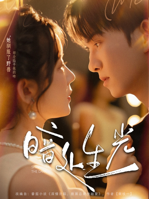 暗处生光(82集) 暗处生光(82集)最新热播短剧