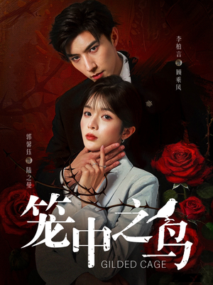 笼中之鸟(70集) 笼中之鸟(70集)热播短剧重燃