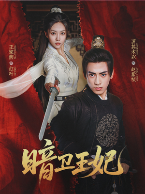 暗卫王妃(60集) 暗卫王妃(60集)温柔追捕短剧