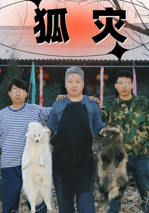 狐灾(25集) 狐灾(25集)独家资源免费看