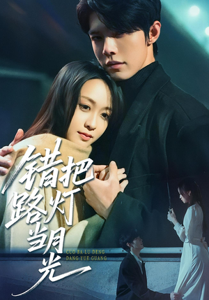 错把路灯当月光(40集) 错把路灯当月光(40集)在线观看