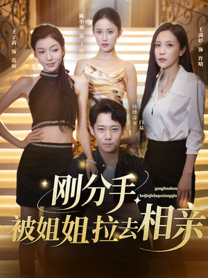 分手被姐姐拉去相亲(73集) 分手被姐姐拉去相亲(73集)短剧热门推荐