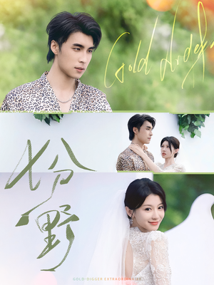 七分野(78集) 七分野(78集)排行榜前十短剧