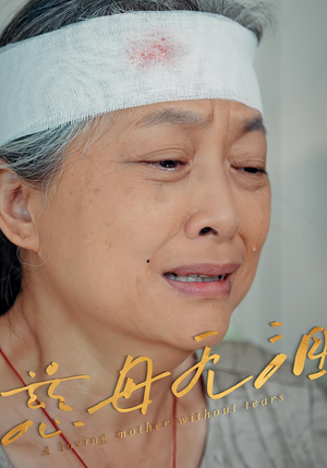 慈母无泪(30集) 慈母无泪(30集)百度网盘在线看