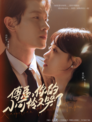 傅总你的小可怜又哭了(80集) 傅总你的小可怜又哭了(80集)恋爱短剧分享