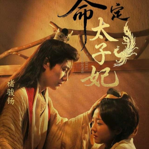 命定太子妃(63集) 命定太子妃(63集)番茄短剧看全集