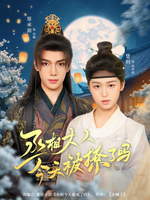 丞相大人今天被撩了吗（80集）短剧在线看