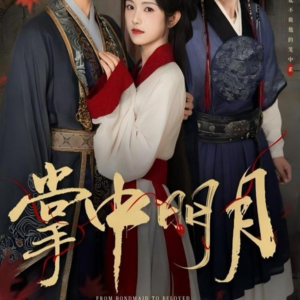 掌中明月(60集) 掌中明月(60集)迅雷网盘观看