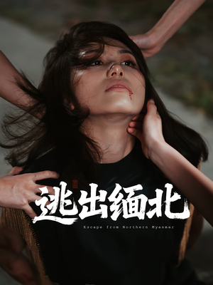逃出缅北(62集) 逃出缅北(62集)短剧全集完整
