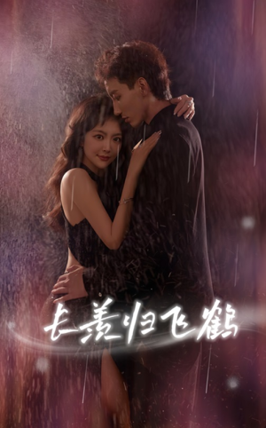 长羡归飞鹤 (70集)正能量短剧分享