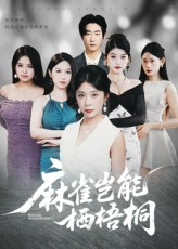 麻雀岂能栖梧桐(31集) 麻雀岂能栖梧桐(31集)短剧推荐上热门