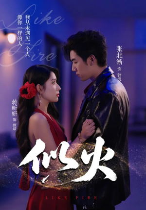 似火(80集) 似火(80集)好看短剧抢先看