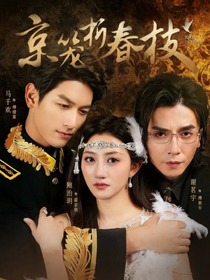 京笼折春枝(79集) 京笼折春枝(79集)第二季