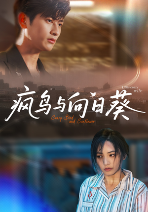 疯鸟与向日葵（40集）爆火短剧推荐