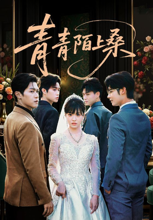 青青陌上桑(70集) 青青陌上桑(70集)每日短剧分享