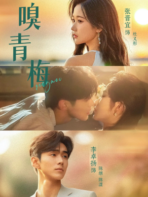 嗅青梅(74集) 嗅青梅(74集)解说