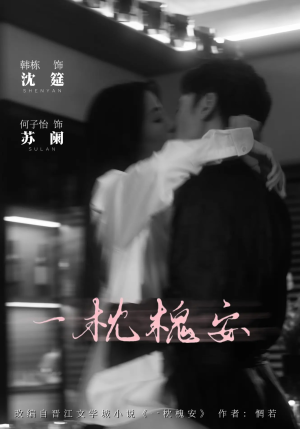 一枕槐安(80集) 一枕槐安(80集)夸克在线观看