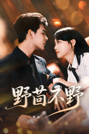 野茴不野(67集) 野茴不野(67集)火爆热门短剧