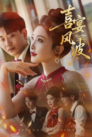 喜宴风波&替罪伴娘(30集) 喜宴风波&替罪伴娘(30集)免费短剧就是爽