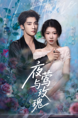 夜莺与玫瑰(66集) 夜莺与玫瑰(66集)在线观看