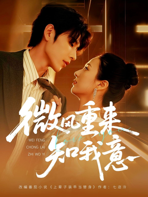 微风重来知我意(62集) 微风重来知我意(62集)在线免费观影