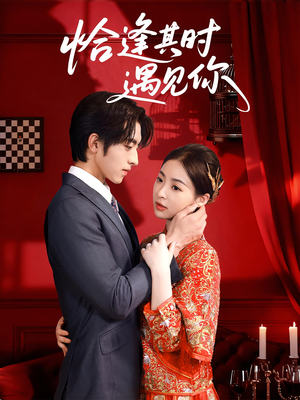 恰逢其时遇见你(60集) 恰逢其时遇见你(60集)零花钱看整部剧