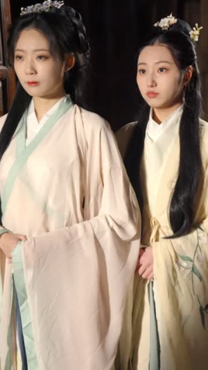 将军请上车 (91集)免费短剧看全集