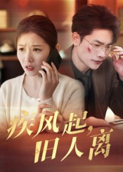 疾风起旧人离（32集）短剧排行榜