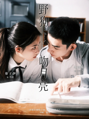 野狗吻月亮(68集) 野狗吻月亮(68集)在线看免费版