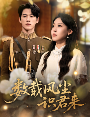 数载风尘识君来（62集）最新短剧抢先看