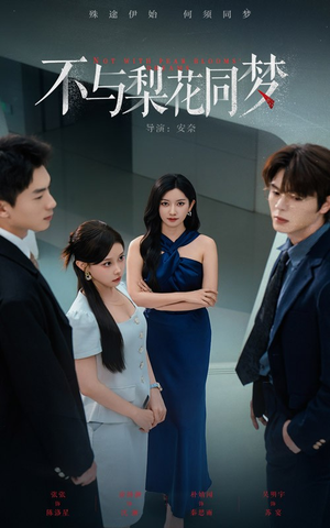 不与梨花同梦(50集) 不与梨花同梦(50集)看过的人都说好