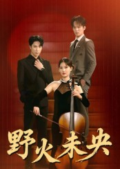 野火未央（40集）精彩短剧推荐