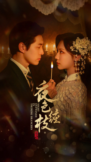 夜色缠枝(60集) 夜色缠枝(60集)演的怎么样