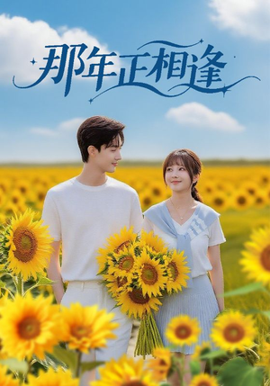 那年正相逢(60集) 那年正相逢(60集)短剧小说在线看