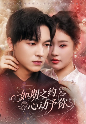 如期之约心动予你(82集) 如期之约心动予你(82集)热播短剧推荐