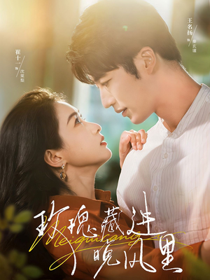 玫瑰藏进晚风里（68集）精彩好看短剧