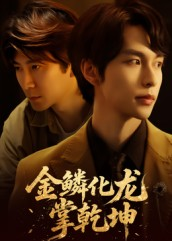 金lin化龙掌乾坤(54集) 金lin化龙掌乾坤(54集)经典老剧免费看
