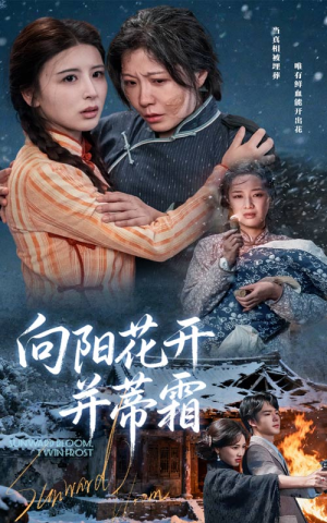 向阳花开并蒂霜（60集）百度网盘资源