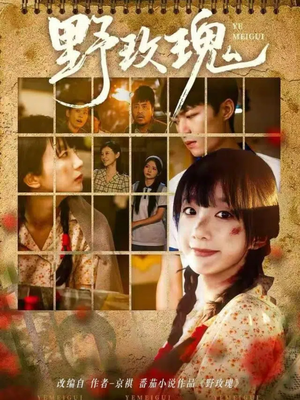 野玫瑰(82集) 野玫瑰(82集)分享好看短剧