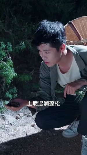 乡村小农民我靠系统发家致富 (100集) 爆火短剧推荐